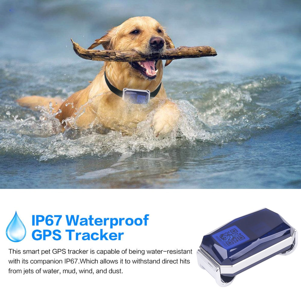 GPS Lokator za pse IP67