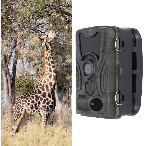 Kamera za lov Huntcam HC-801G