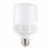 LED Sijalica 12w