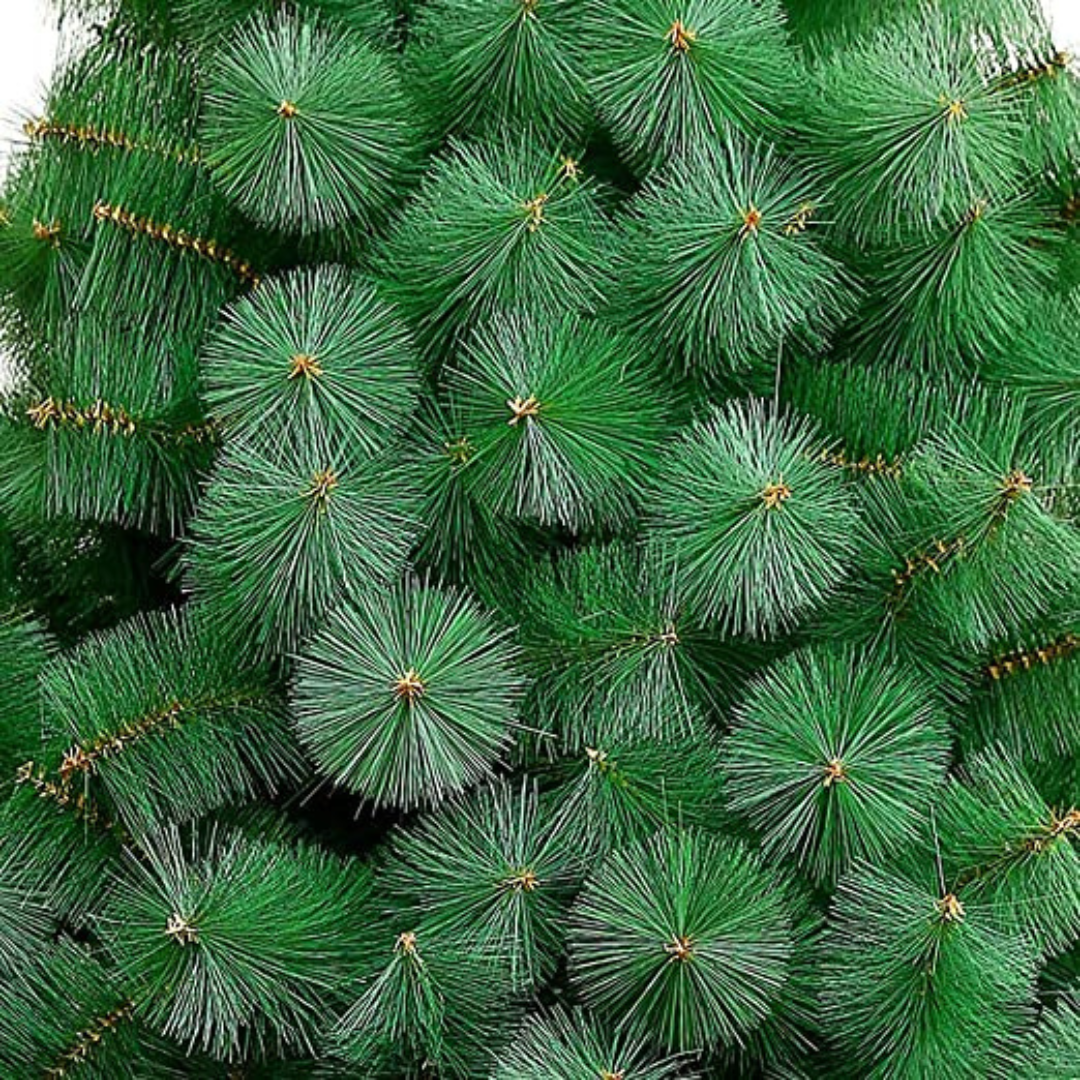 Pine novogodišnja jelka (BESPLATNA ISPORUKA)
